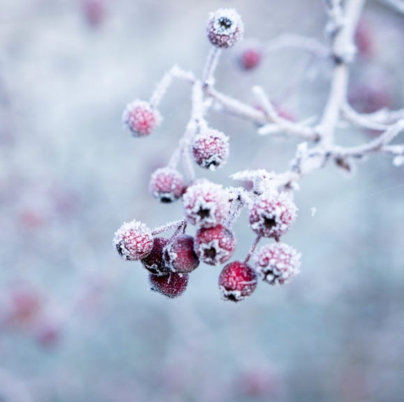 Meet the Posher/About the Seller - Picture 1 of 9